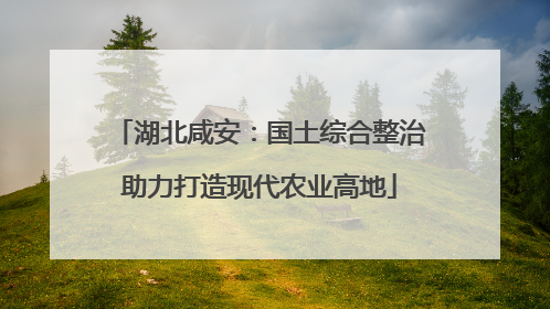 湖北咸安：国土综合整治助力打造现代农业高地
