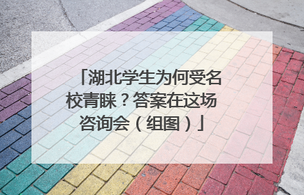 湖北学生为何受名校青睐？答案在这场咨询会（组图）
