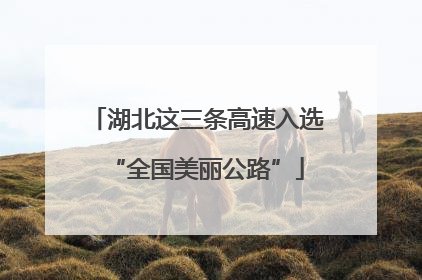 湖北这三条高速入选“全国美丽公路”