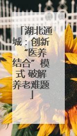 湖北通城：创新 “医养结合”模式 破解养老难题