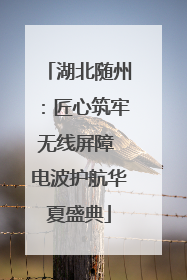 湖北随州：匠心筑牢无线屏障 电波护航华夏盛典