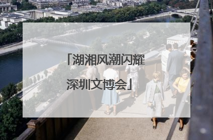 湖湘风潮闪耀深圳文博会