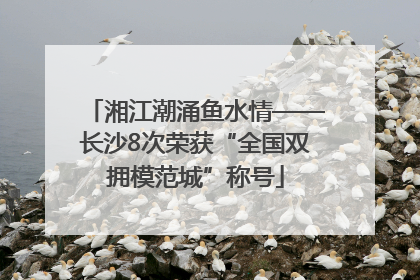 湘江潮涌鱼水情——长沙8次荣获“全国双拥模范城”称号