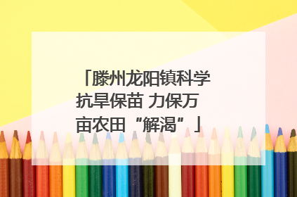 滕州龙阳镇科学抗旱保苗 力保万亩农田“解渴”