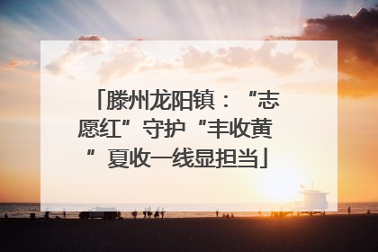 滕州龙阳镇：“志愿红”守护“丰收黄”夏收一线显担当