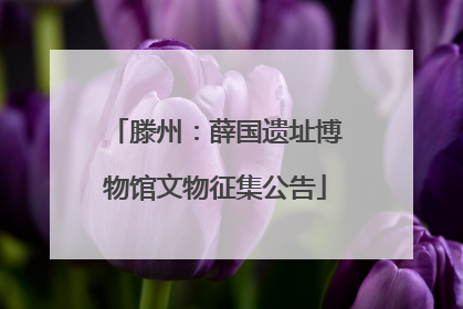 滕州：薛国遗址博物馆文物征集公告