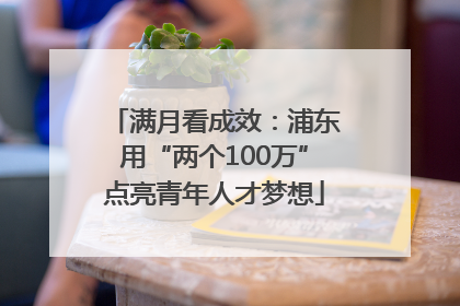 满月看成效：浦东用“两个100万”点亮青年人才梦想