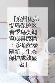 滨州贝壳堤岛保护区春季鸟类调查成果惊艳：多项纪录刷新，生态保护成效显著