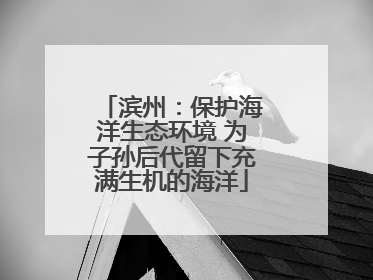 滨州：保护海洋生态环境 为子孙后代留下充满生机的海洋