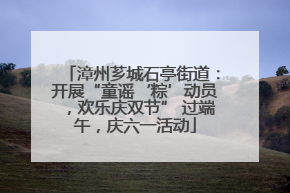 漳州芗城石亭街道：开展“童谣‘粽’动员，欢乐庆双节” 过端午，庆六一活动