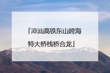 漳汕高铁东山跨海特大桥栈桥合龙