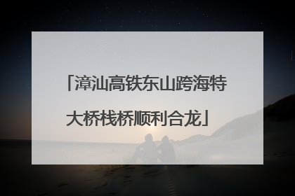 漳汕高铁东山跨海特大桥栈桥顺利合龙