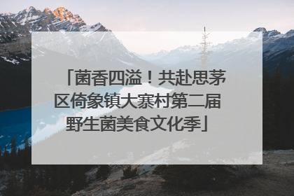 菌香四溢！共赴思茅区倚象镇大寨村第二届野生菌美食文化季
