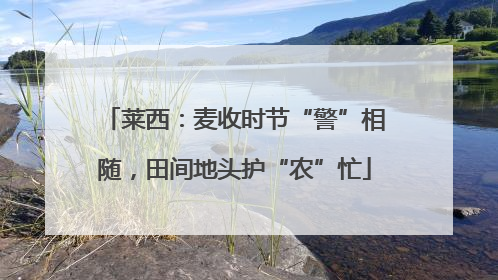 莱西：麦收时节“警”相随，田间地头护“农”忙