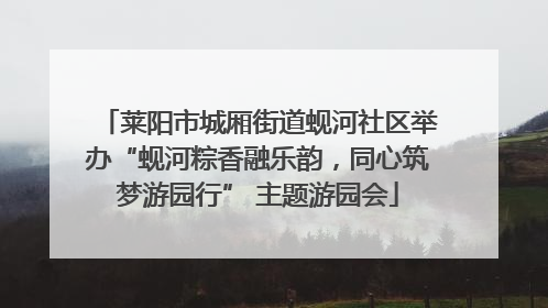 莱阳市城厢街道蚬河社区举办“蚬河粽香融乐韵，同心筑梦游园行” 主题游园会