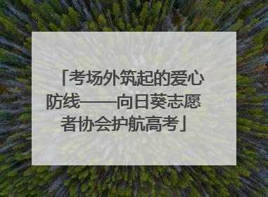 考场外筑起的爱心防线——向日葵志愿者协会护航高考
