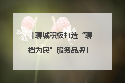 聊城积极打造“聊档为民”服务品牌