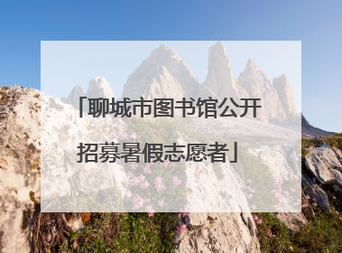 聊城市图书馆公开招募暑假志愿者