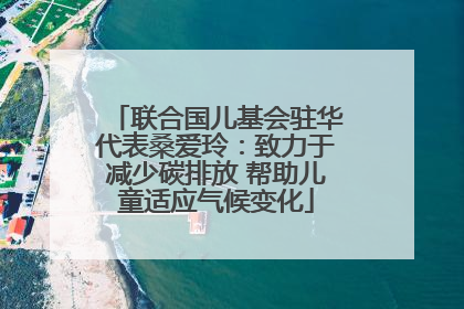 联合国儿基会驻华代表桑爱玲：致力于减少碳排放 帮助儿童适应气候变化