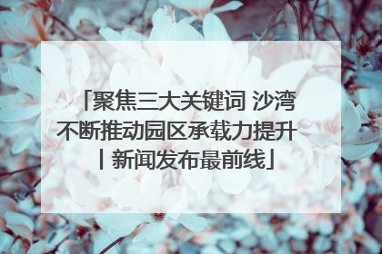 聚焦三大关键词 沙湾不断推动园区承载力提升丨新闻发布最前线