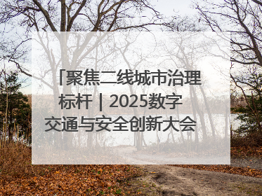 聚焦二线城市治理标杆｜2025数字交通与安全创新大会在保定隆重开幕