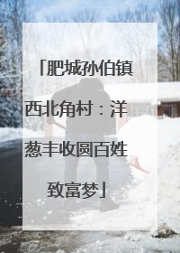 肥城孙伯镇西北角村：洋葱丰收圆百姓致富梦