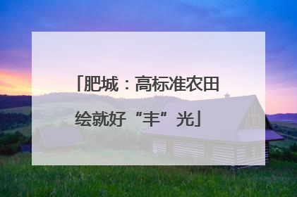 肥城：高标准农田绘就好“丰”光