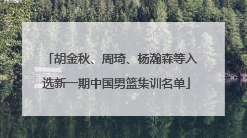 胡金秋、周琦、杨瀚森等入选新一期中国男篮集训名单