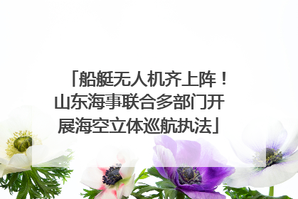 船艇无人机齐上阵！山东海事联合多部门开展海空立体巡航执法