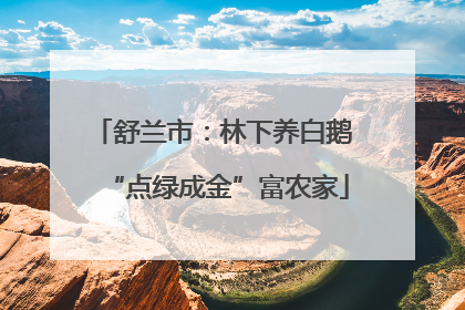 舒兰市：林下养白鹅 “点绿成金”富农家