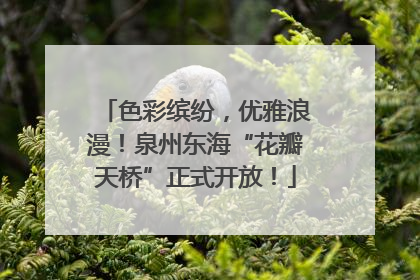 色彩缤纷，优雅浪漫！泉州东海“花瓣天桥”正式开放！
