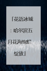 花语冰城：哈尔滨五月花海绚烂绽放