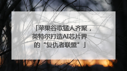 苹果谷歌猛人齐聚，英特尔打造AI芯片界的“复仇者联盟”