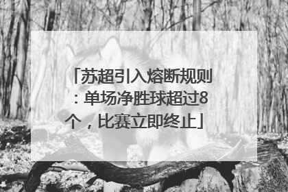 苏超引入熔断规则：单场净胜球超过8个，比赛立即终止