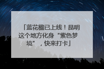蓝花楹已上线！昆明这个地方化身“紫色梦境”，快来打卡
