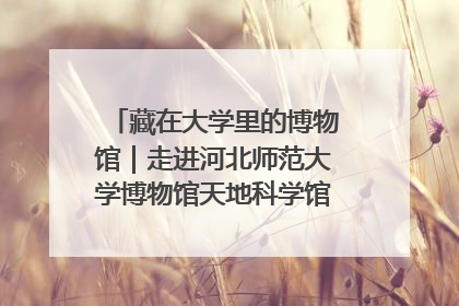 藏在大学里的博物馆｜走进河北师范大学博物馆天地科学馆：在校园里赴一场“宇宙之约”
