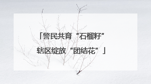 警民共育“石榴籽” 辖区绽放“团结花”