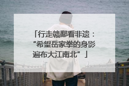 行走赣鄱看非遗：“希望岳家拳的身影遍布大江南北”