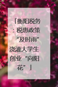 衡阳税务：税惠政策“及时雨”浇灌大学生创业“向阳花”