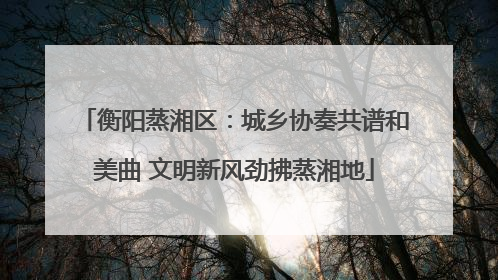 衡阳蒸湘区：城乡协奏共谱和美曲 文明新风劲拂蒸湘地