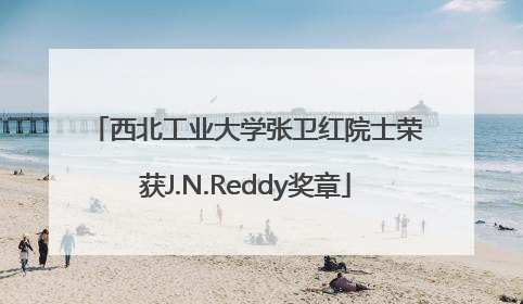西北工业大学张卫红院士荣获J.N.Reddy奖章