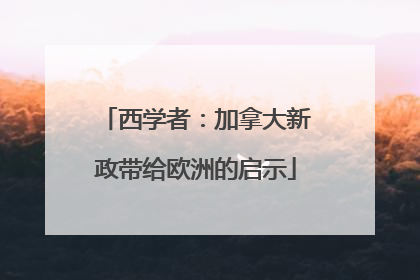 西学者：加拿大新政带给欧洲的启示