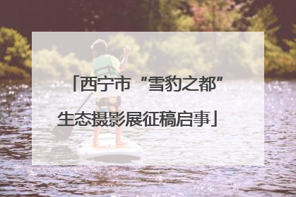西宁市“雪豹之都”生态摄影展征稿启事