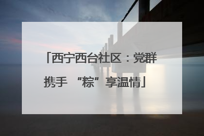 西宁西台社区：党群携手 “粽”享温情