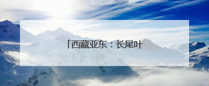 西藏亚东：长尾叶猴下山“会客”