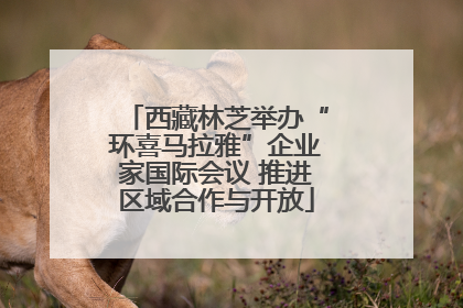 西藏林芝举办“环喜马拉雅”企业家国际会议 推进区域合作与开放
