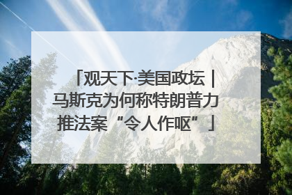 观天下·美国政坛｜马斯克为何称特朗普力推法案“令人作呕”