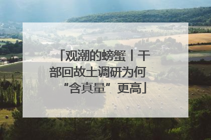 观潮的螃蟹丨干部回故土调研为何“含真量”更高