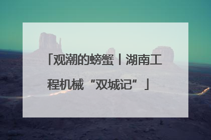 观潮的螃蟹丨湖南工程机械“双城记”