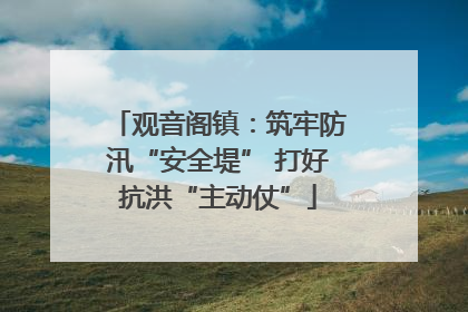 观音阁镇：筑牢防汛“安全堤” 打好抗洪“主动仗”